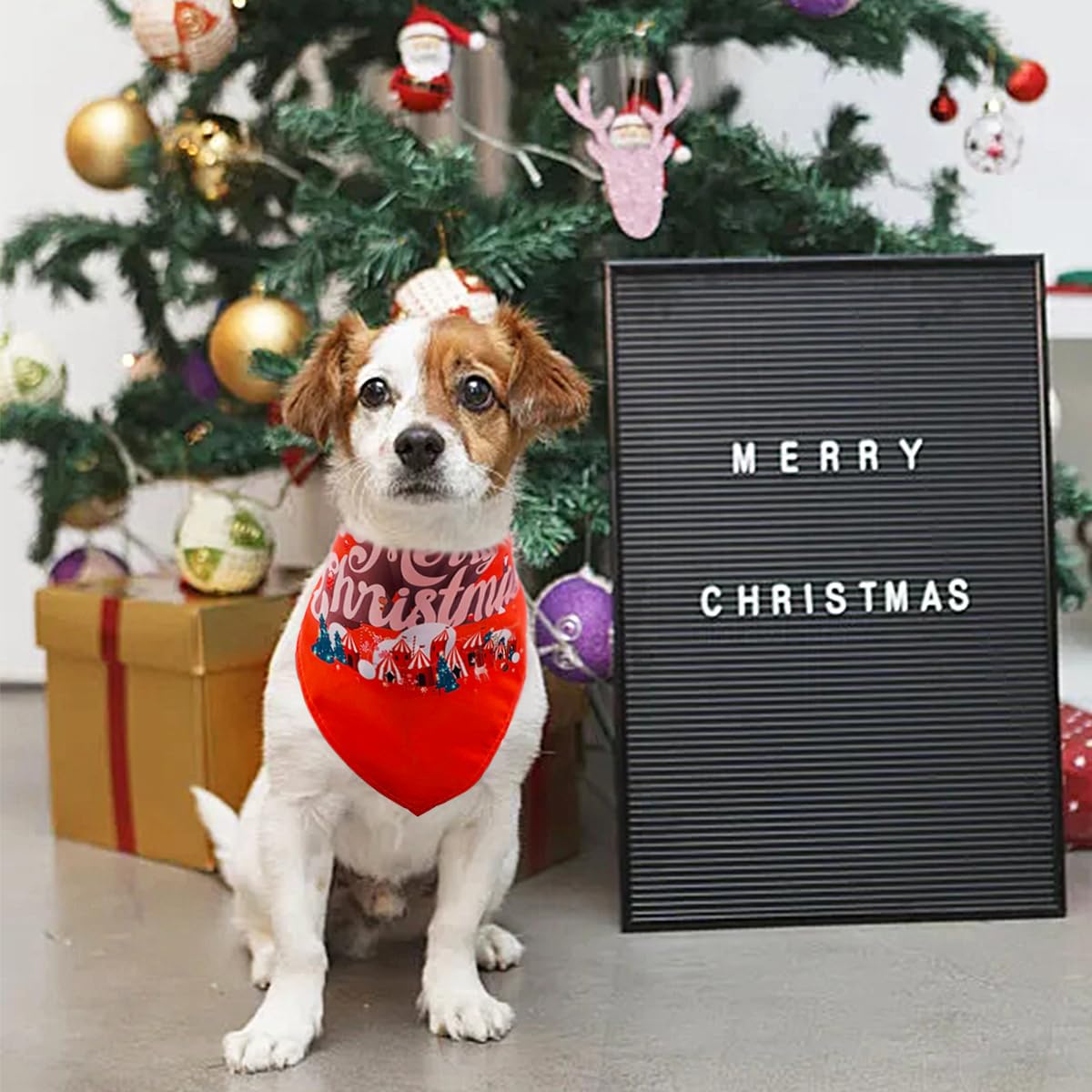 JpGdn bulk Christmas pack image shows multiple colorways and patterns