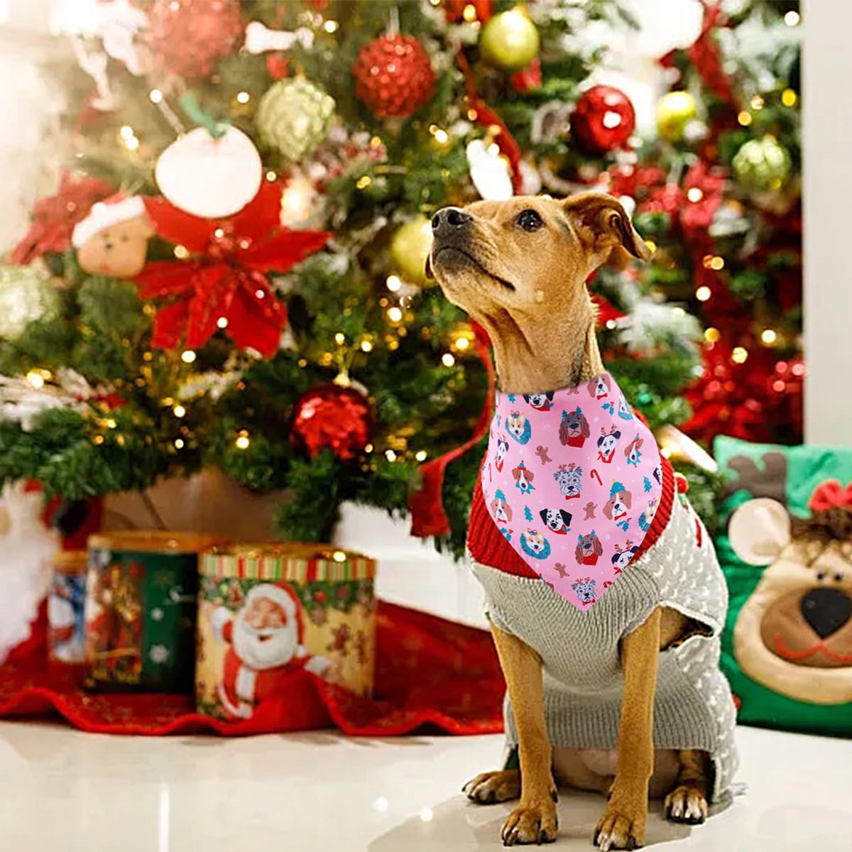 JpGdn plaid pattern bandana coordinates with holiday outfits and pet accessories
