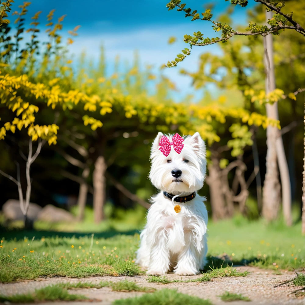 JpGdn bows on pets during family outings boost cute photos.
