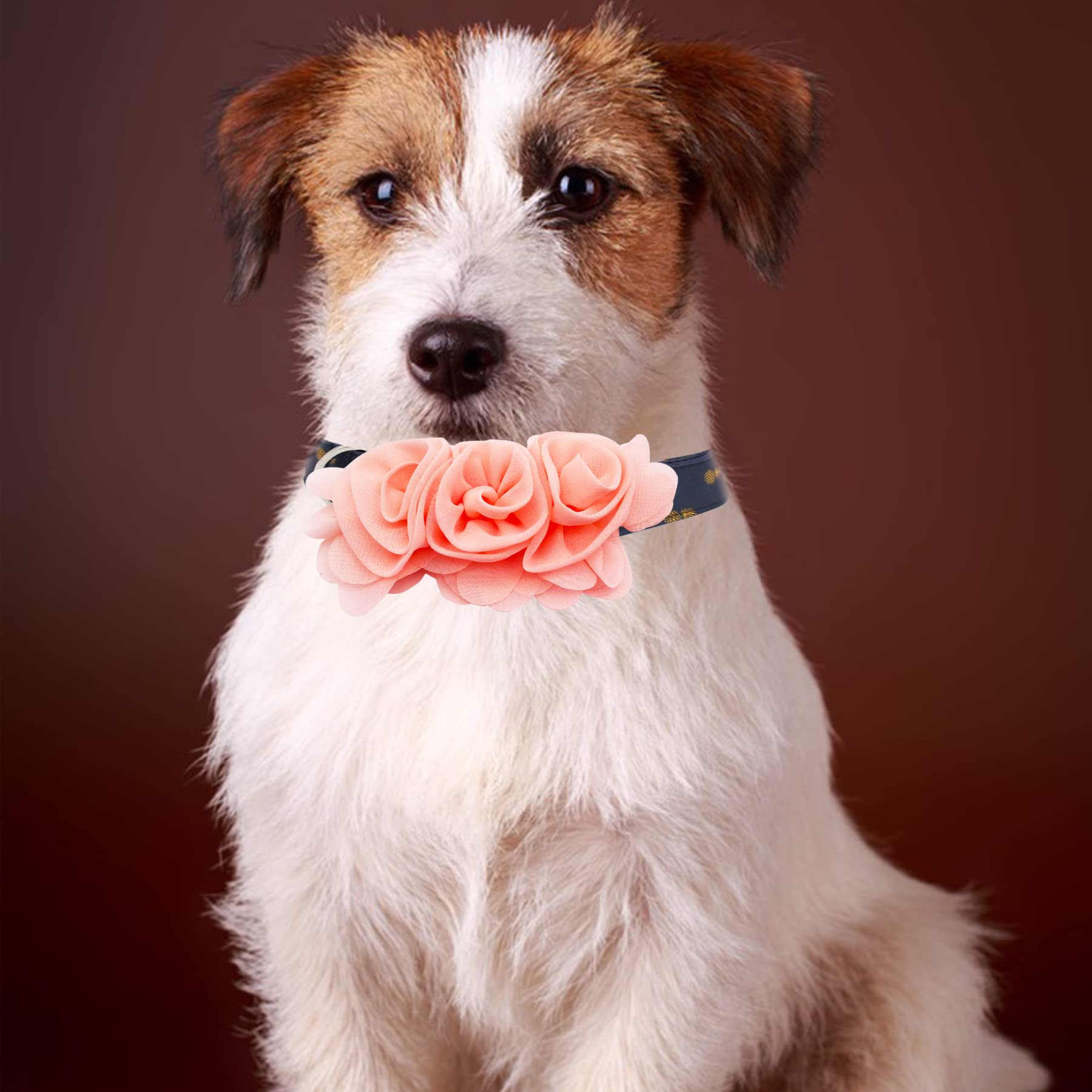 JpGdn flower collars on puppy showcase cute daily wear.