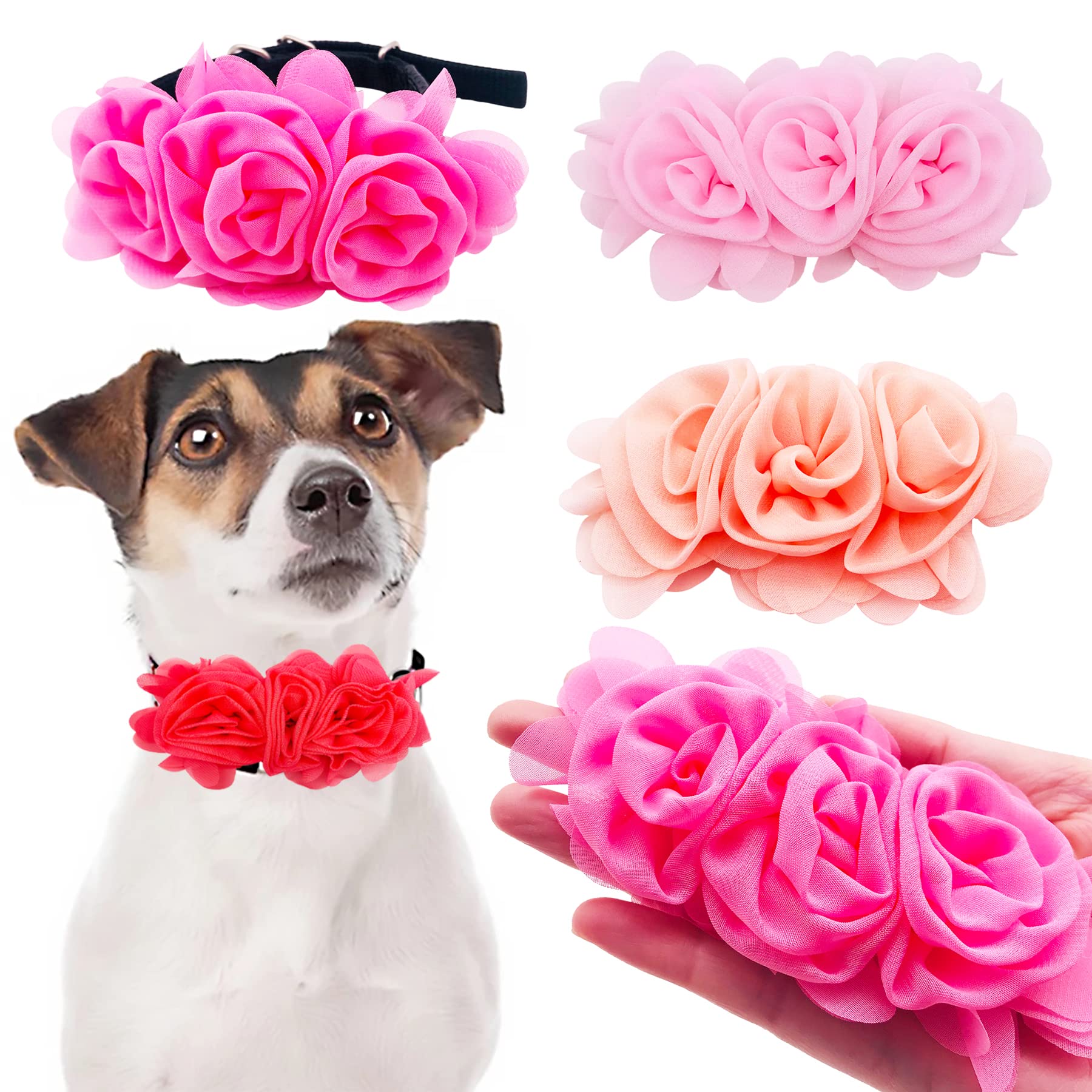 JpGdn flower dog collar peach complements warm coats and photos.