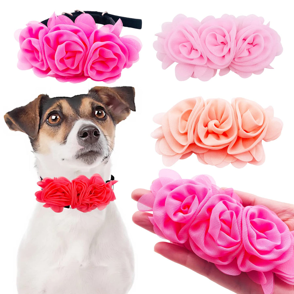 JpGdn flower dog collar peach complements warm coats and photos.