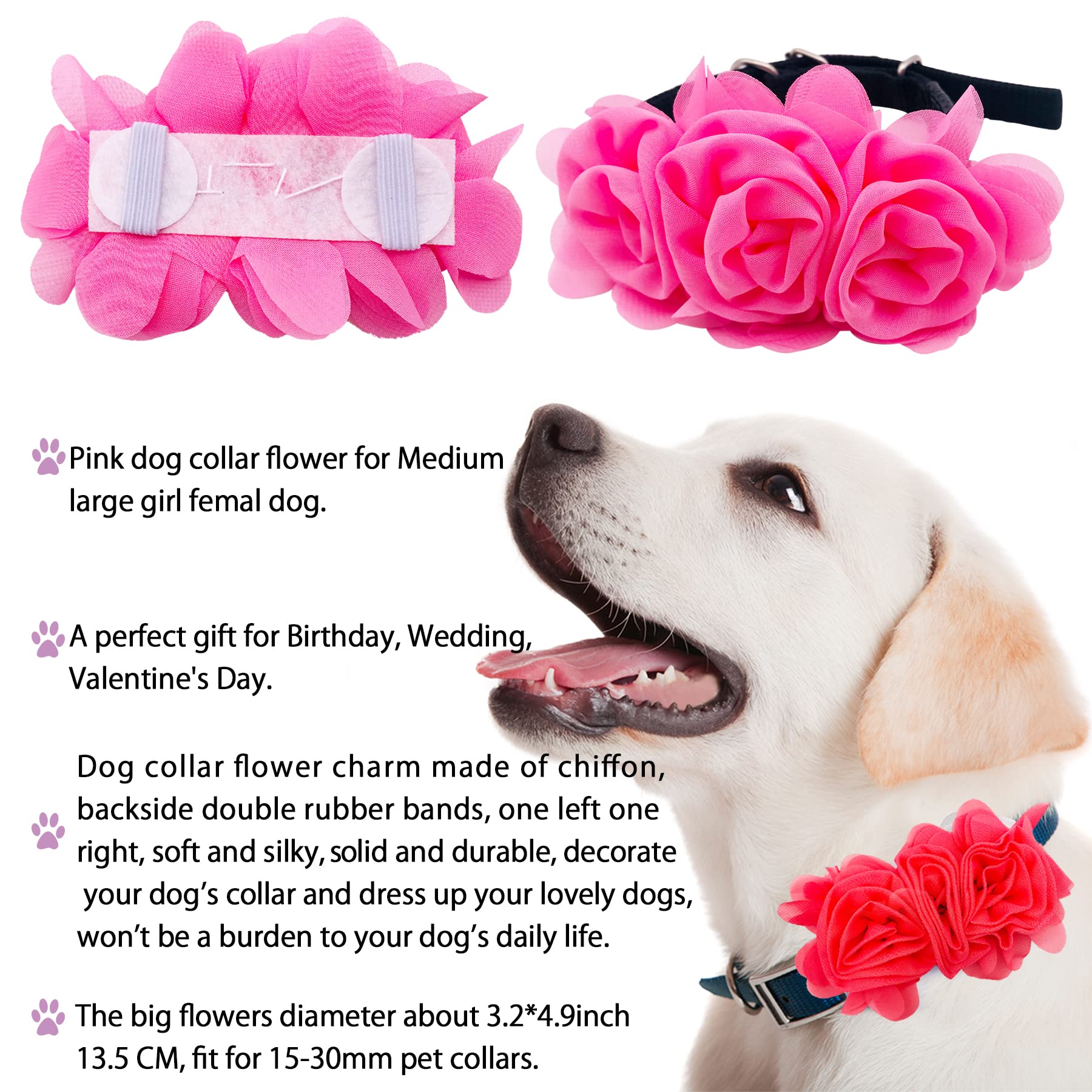 JpGdn flower dog collar red creates bold, playful looks.