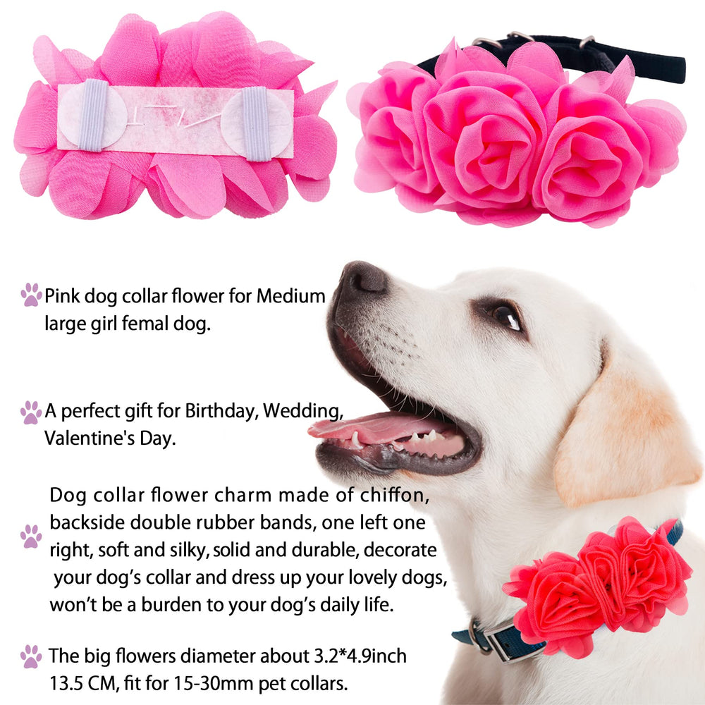 JpGdn flower dog collar red creates bold, playful looks.