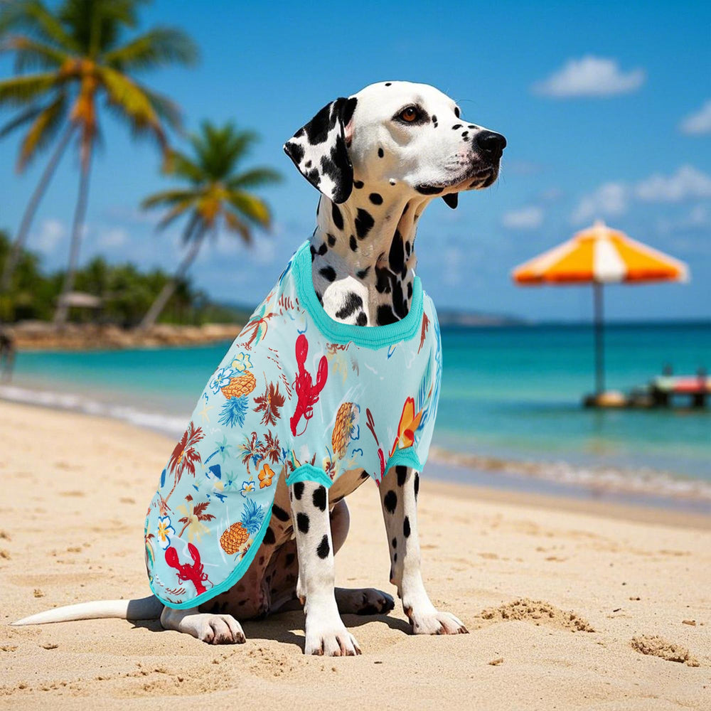 JpGdn Hawaiian dog shirt on dog during walk for daily versatility