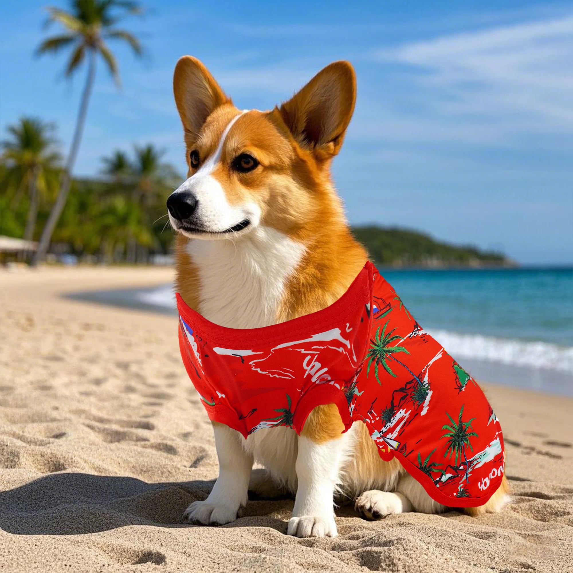 JpGdn Hawaiian dog shirt packaging image suggests simple ordering
