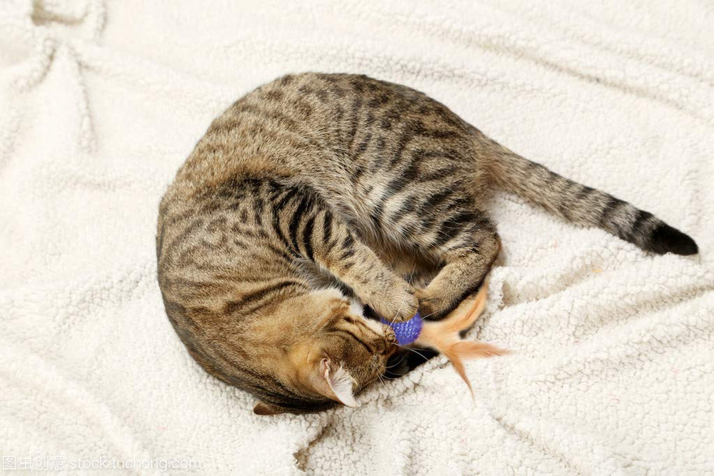 JpGdn packaging shows 10pcs feather balls ready for solo or shared play