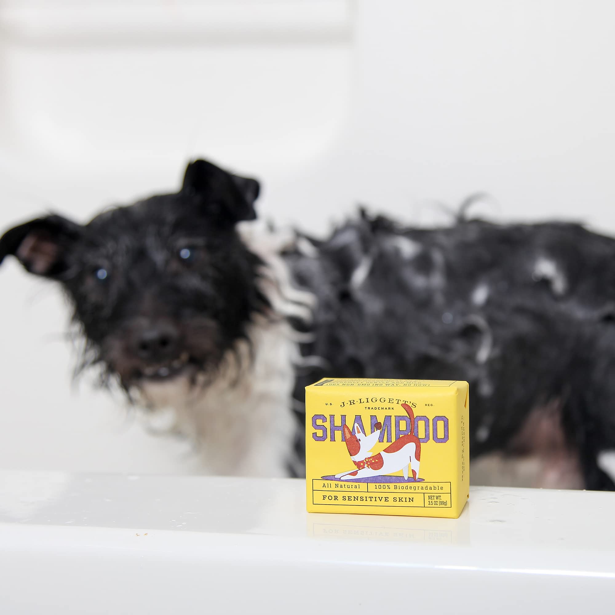 JR Liggett's puppy-safe concept image demonstrates gentle care for young dogs