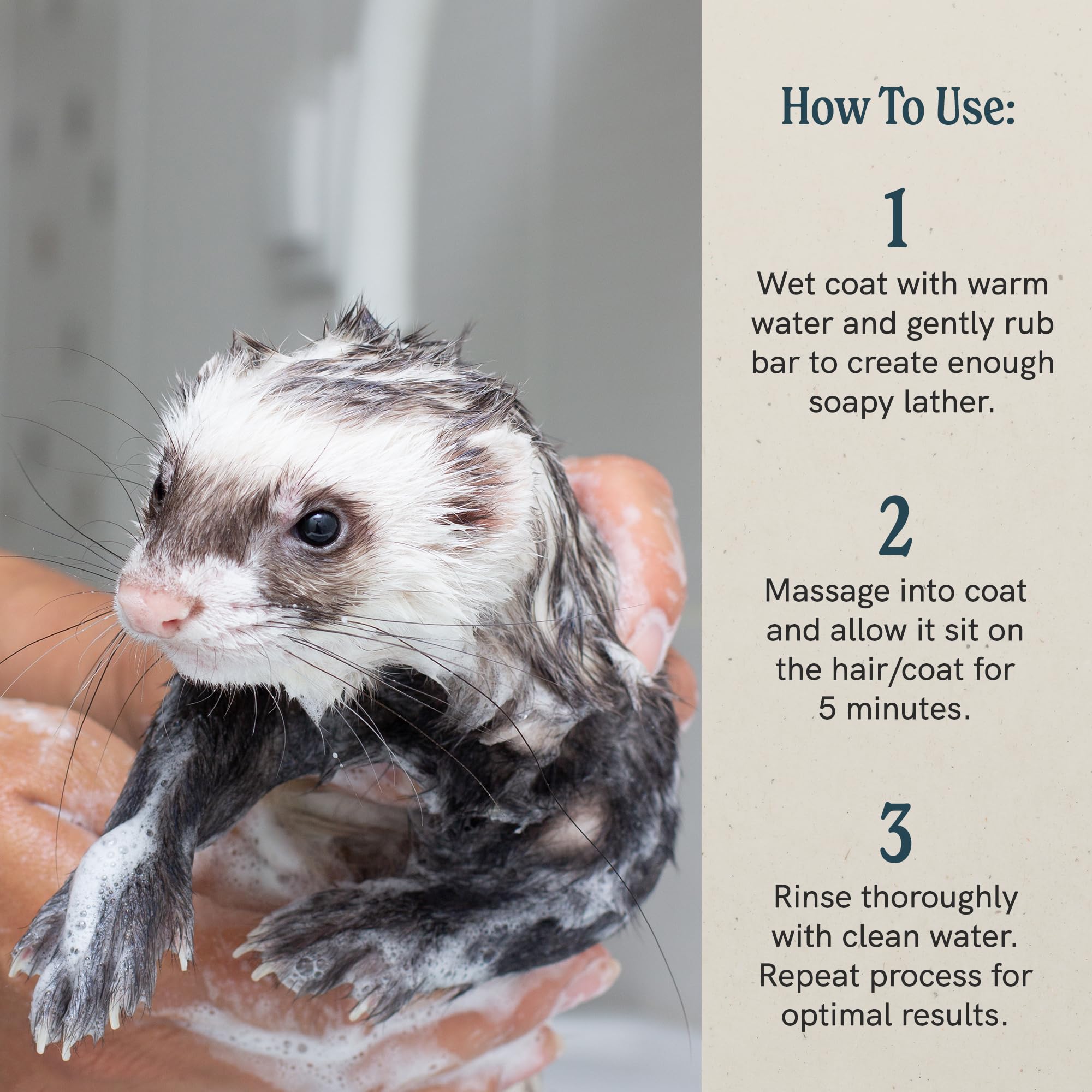J·R·Liggett's product illustrates residue-free rinse after bathing pets.