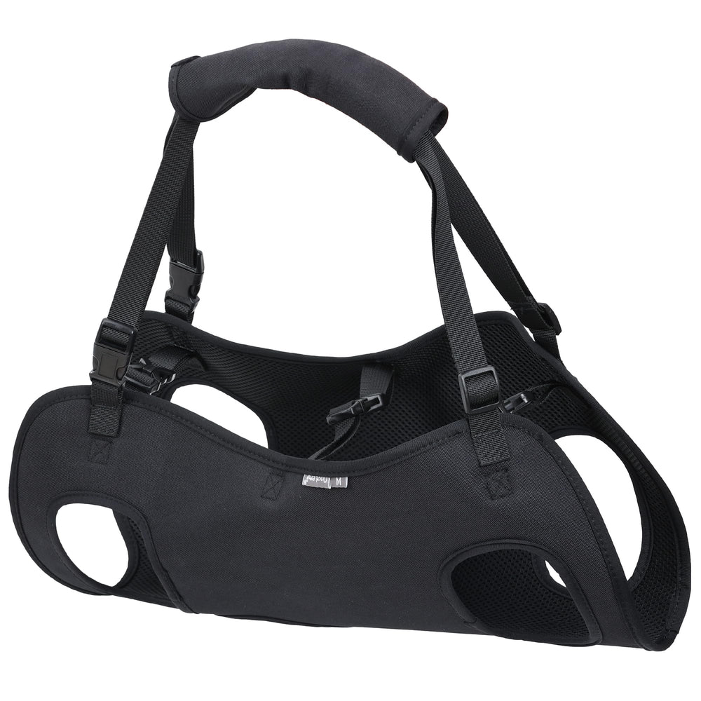 Jranter full body lift harness on dog during walk offers steady support.