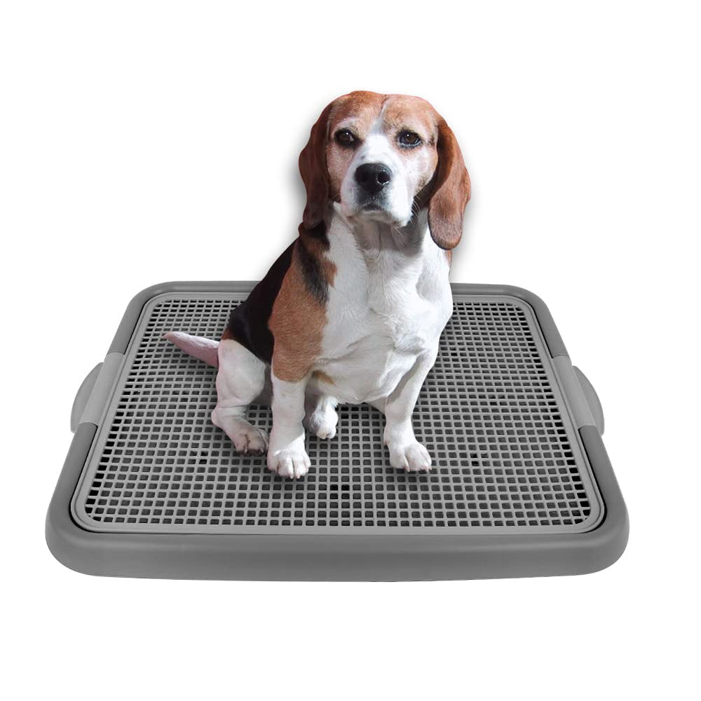 JRVT mesh training toilet upper plate reduces paw mess during puppy potty sessions.