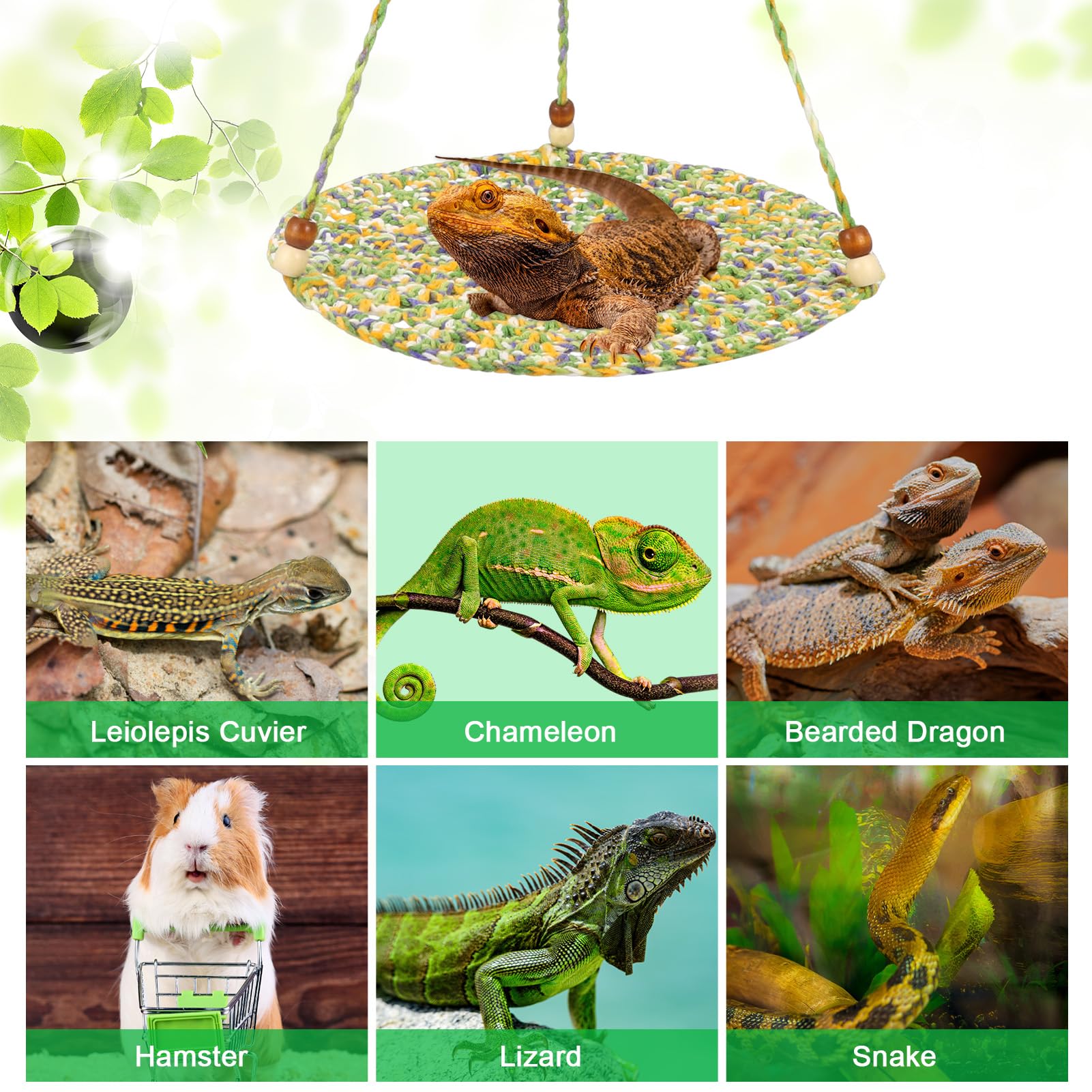 Jspupifip multi-animal hammock application suggests shared enrichment across species.