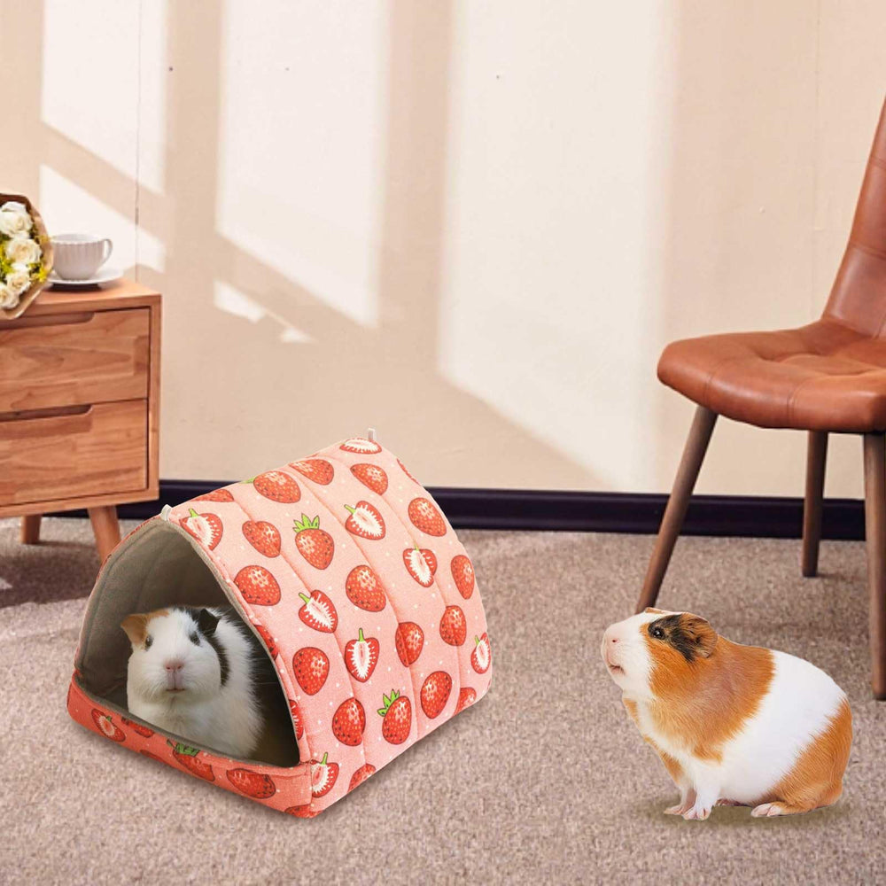 JSPYFITS two-habitat setup supports solitary or social pet moments.