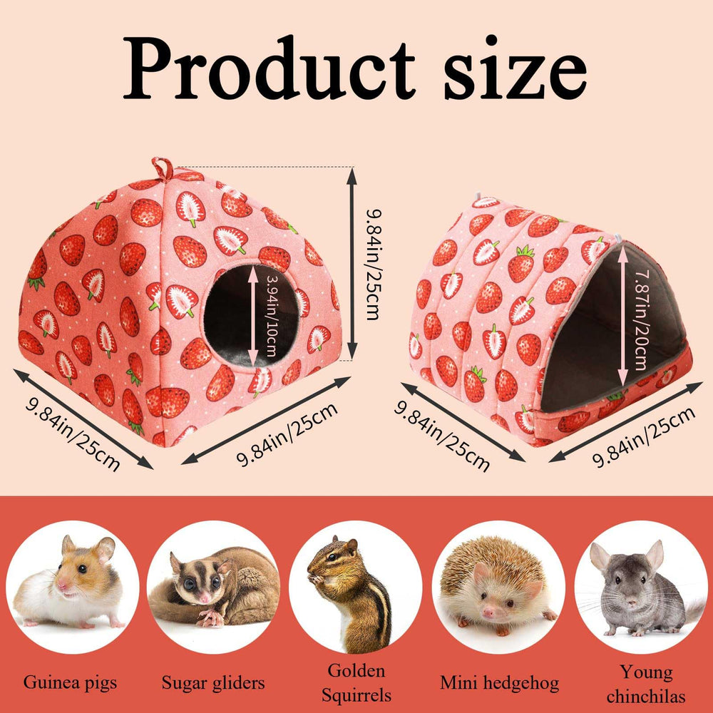 JSPYFITS Strawberry-print triangle close-up shows playful design and durable fabric.