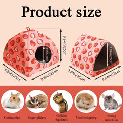 JSPYFITS Strawberry-print triangle close-up shows playful design and durable fabric.