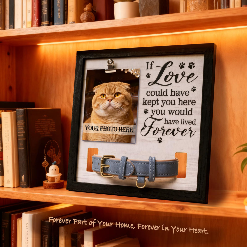 JSSTEM pet memorial frame desktop stand enabling easy home display