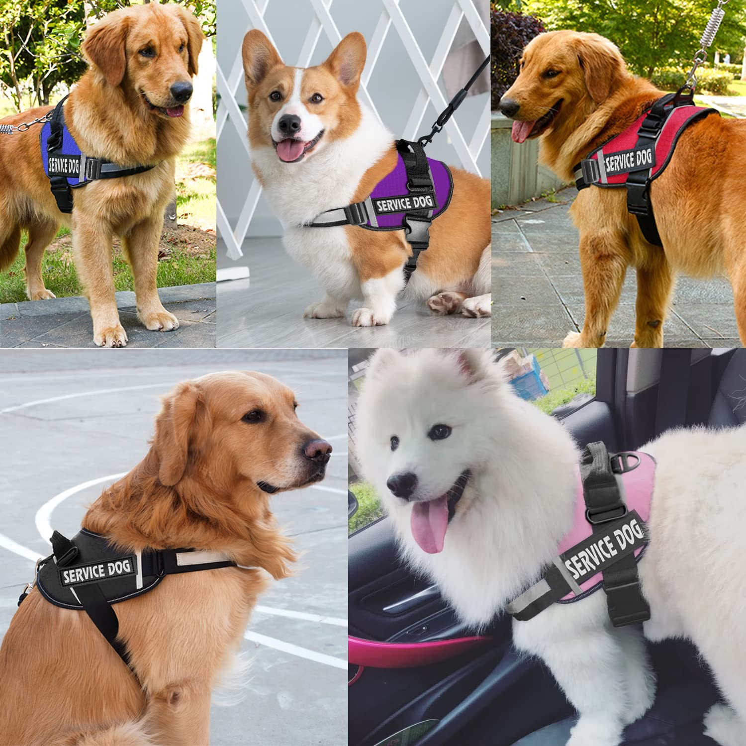 JSXD dog harness back handle enables close control during outdoor activities.