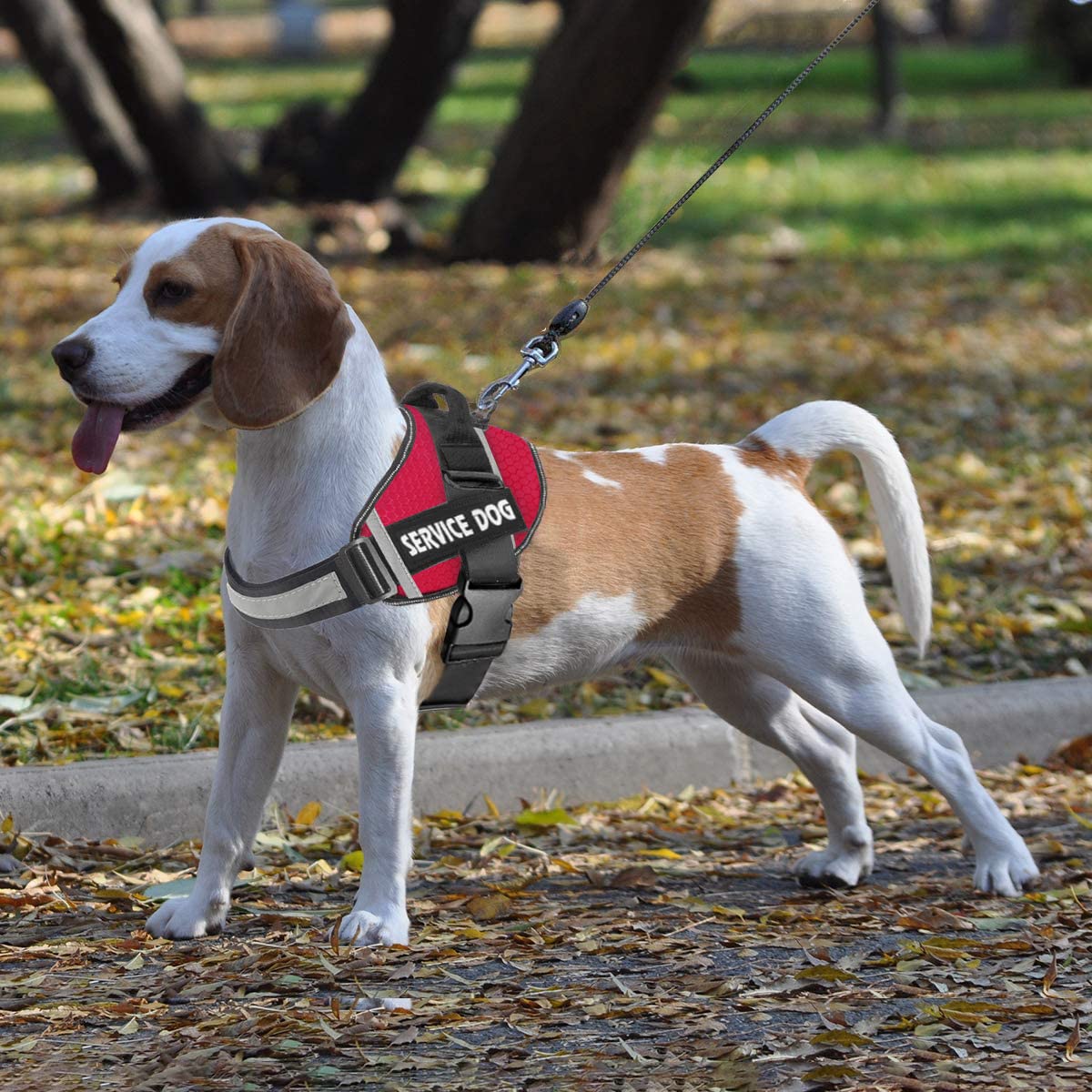 JSXD dog harness breathable mesh liner delivers soft comfort against the coat