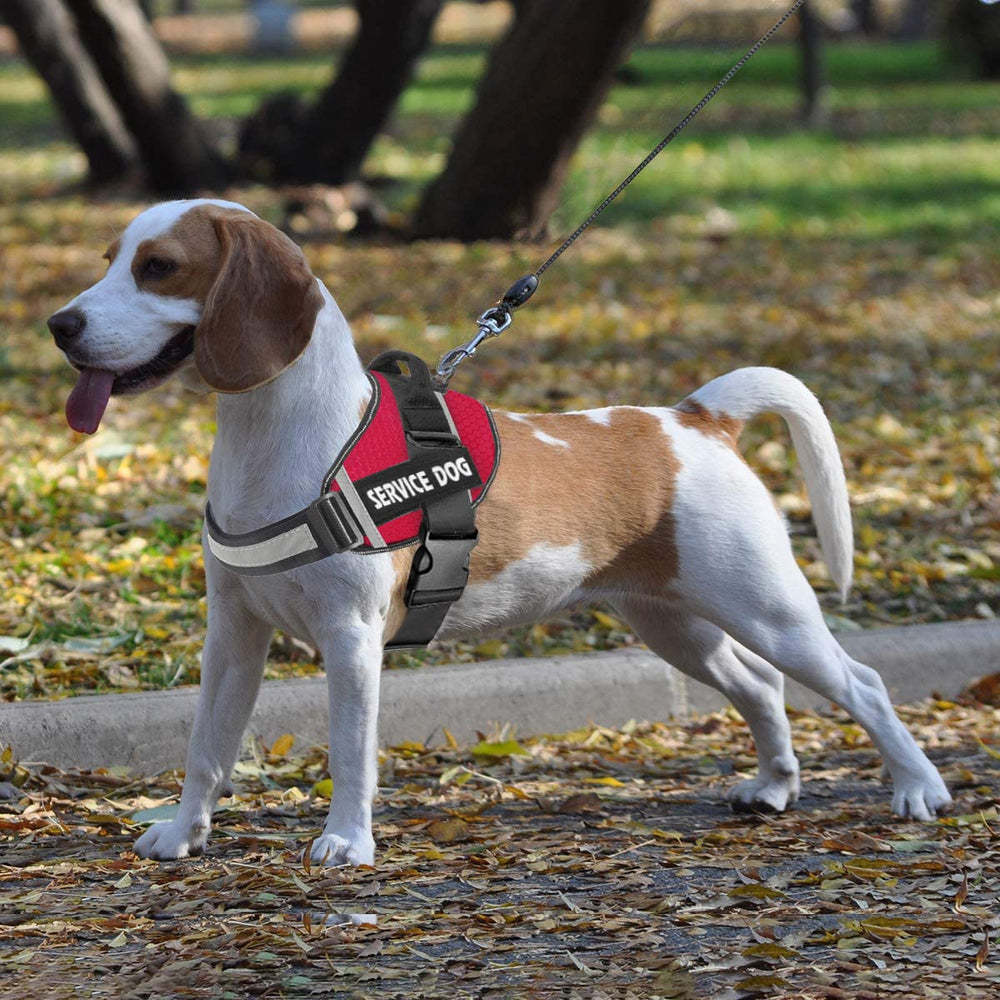 JSXD dog harness breathable mesh liner delivers soft comfort against the coat