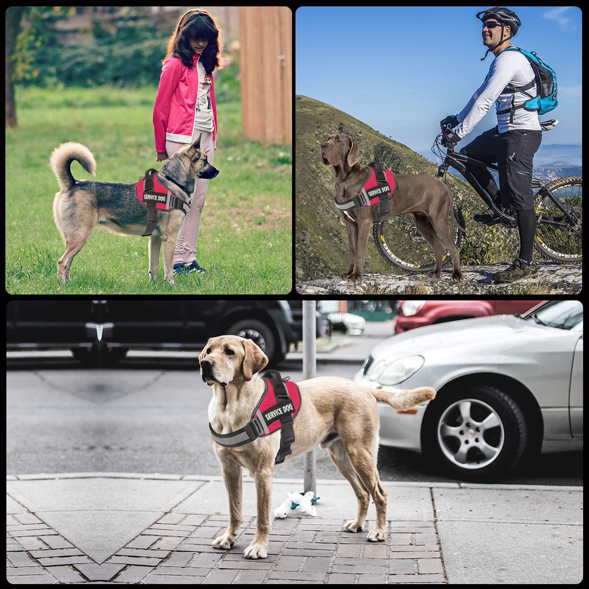 JSXD dog harness breathable nylon material keeps dogs cool and comfortable on walks