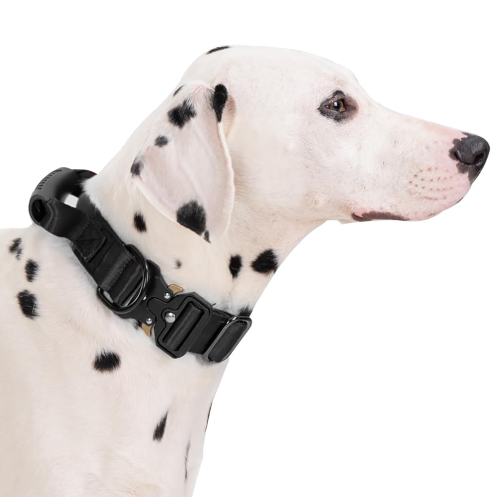 JSXD Tactical Dog Collar metal D-ring for secure leash attachment.