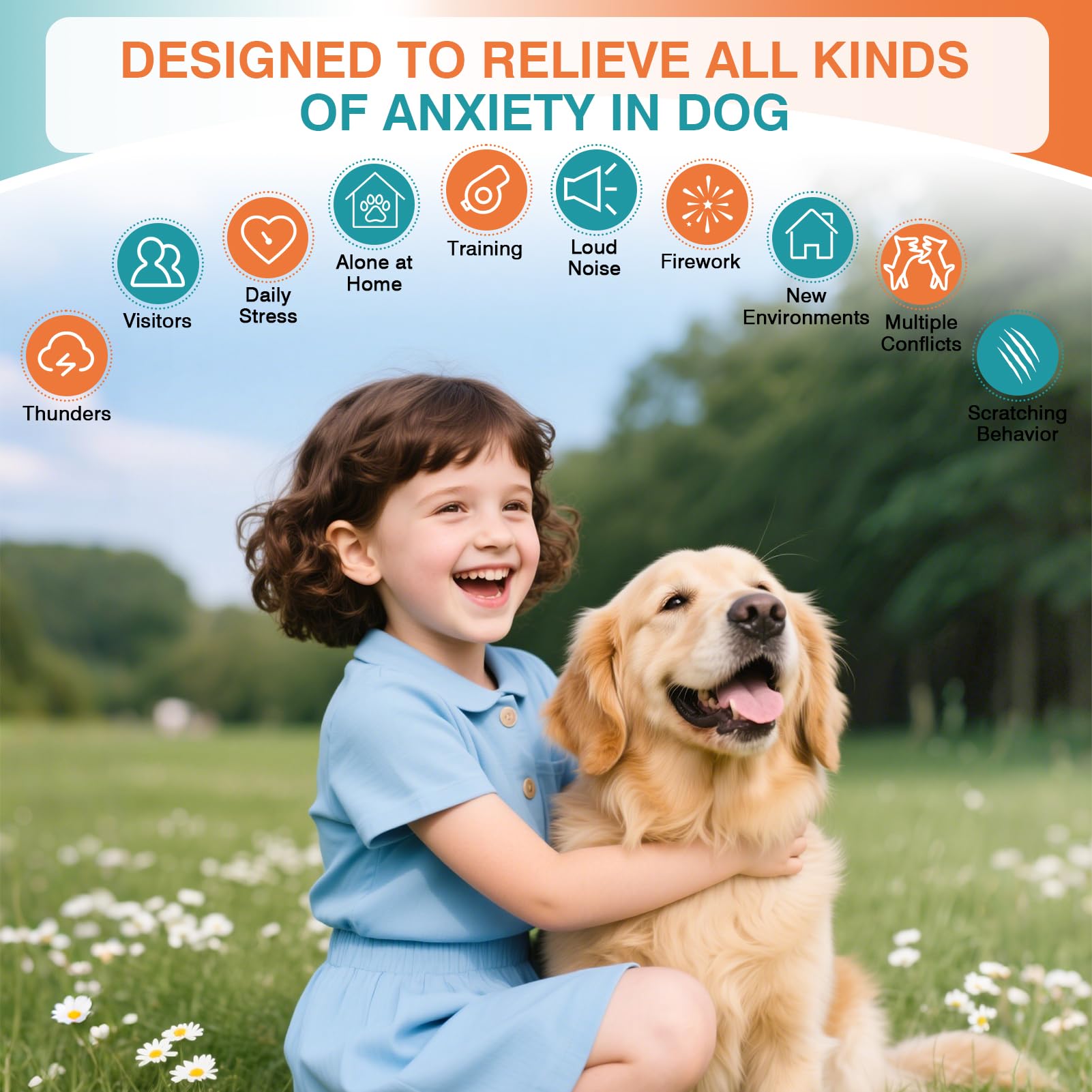 JTEWZX diffuser creating cozy, relaxing dog spaces