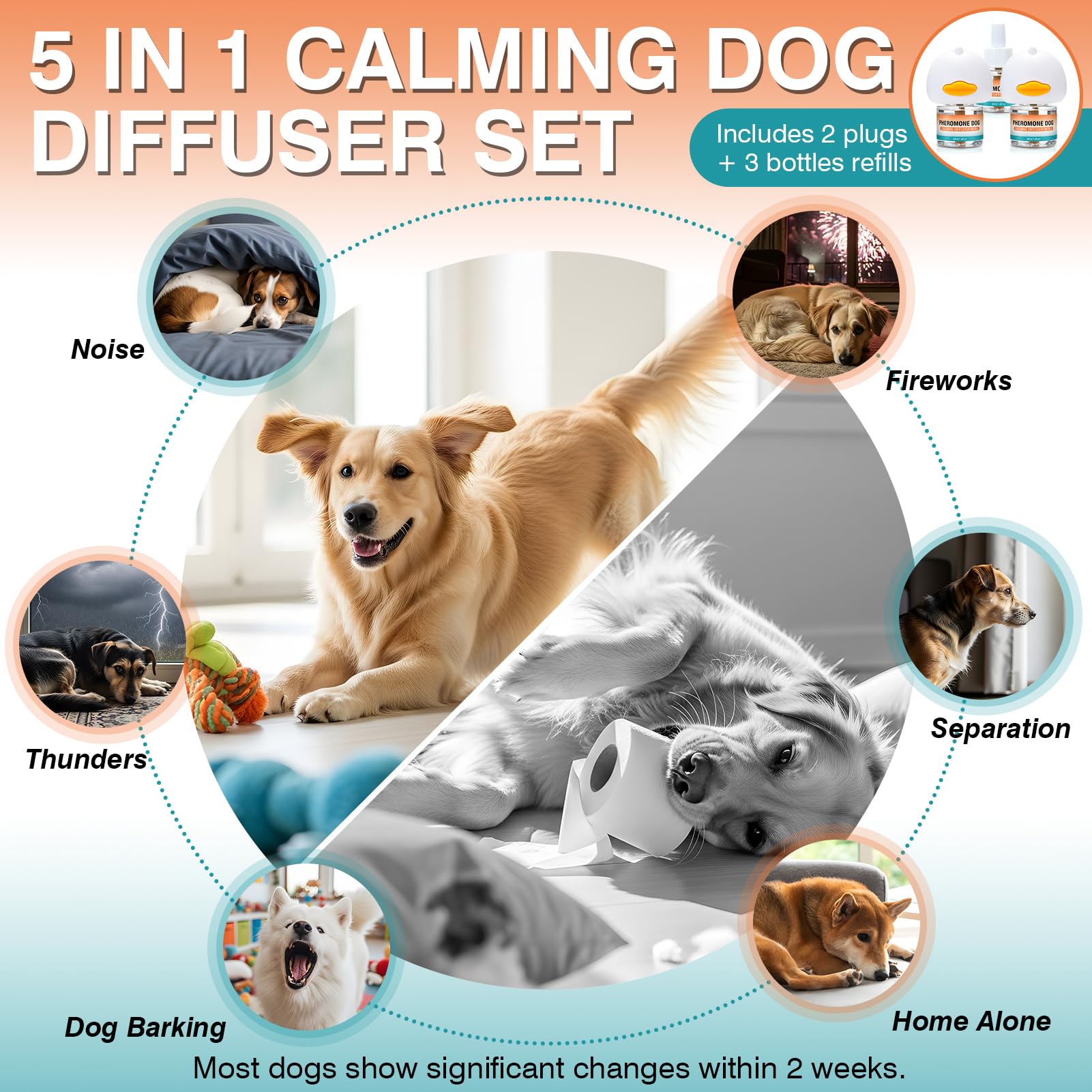 JTEWZX pheromone diffuser aiding environment adaptation for dogs