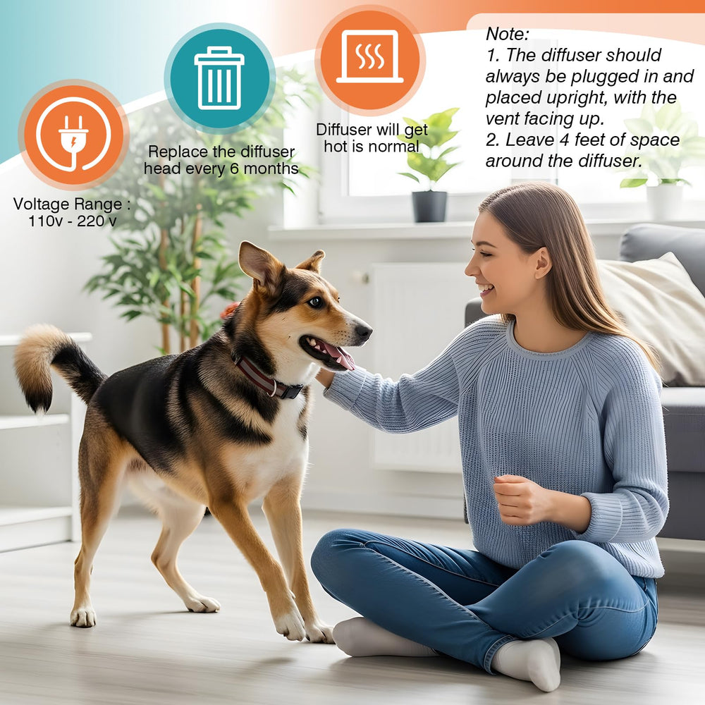 JTEWZX dog relaxation scene shows a quieter, happier pet.