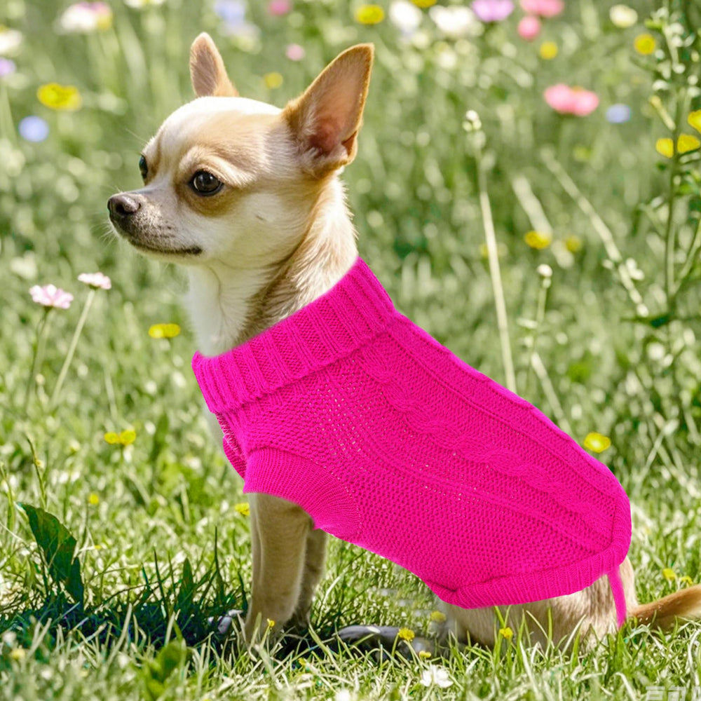 JTYKUYR cat-friendly option provides snug warmth for multi-pet households.