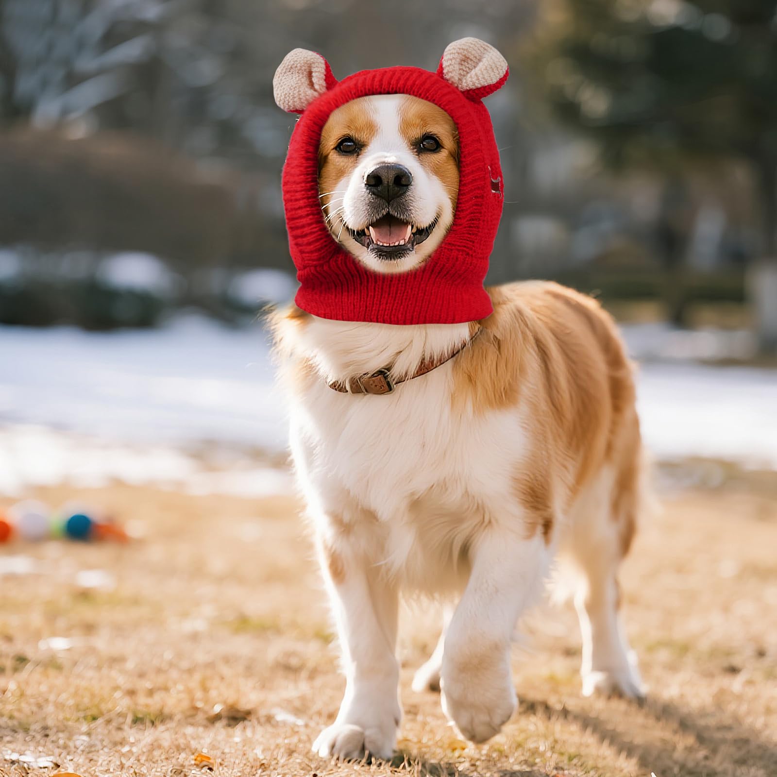 Dog wearing JTYKUYR ear muffs during a winter walk with secure fit