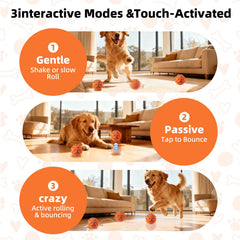 JUBBPDX Interactive Dog Ball automatic movement in action boosts curiosity and exercise.