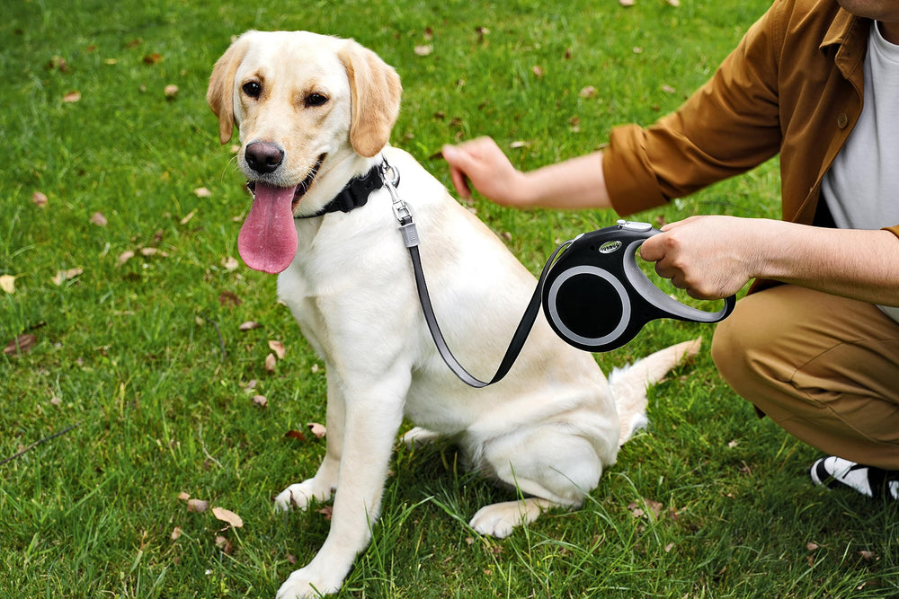 JUBDUG leash is ideal for daily walks and training sessions.