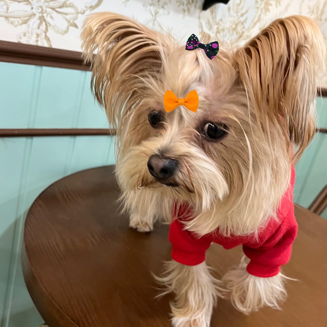 JUCCPUL dog bows ideal for holiday parties and everyday outfits.