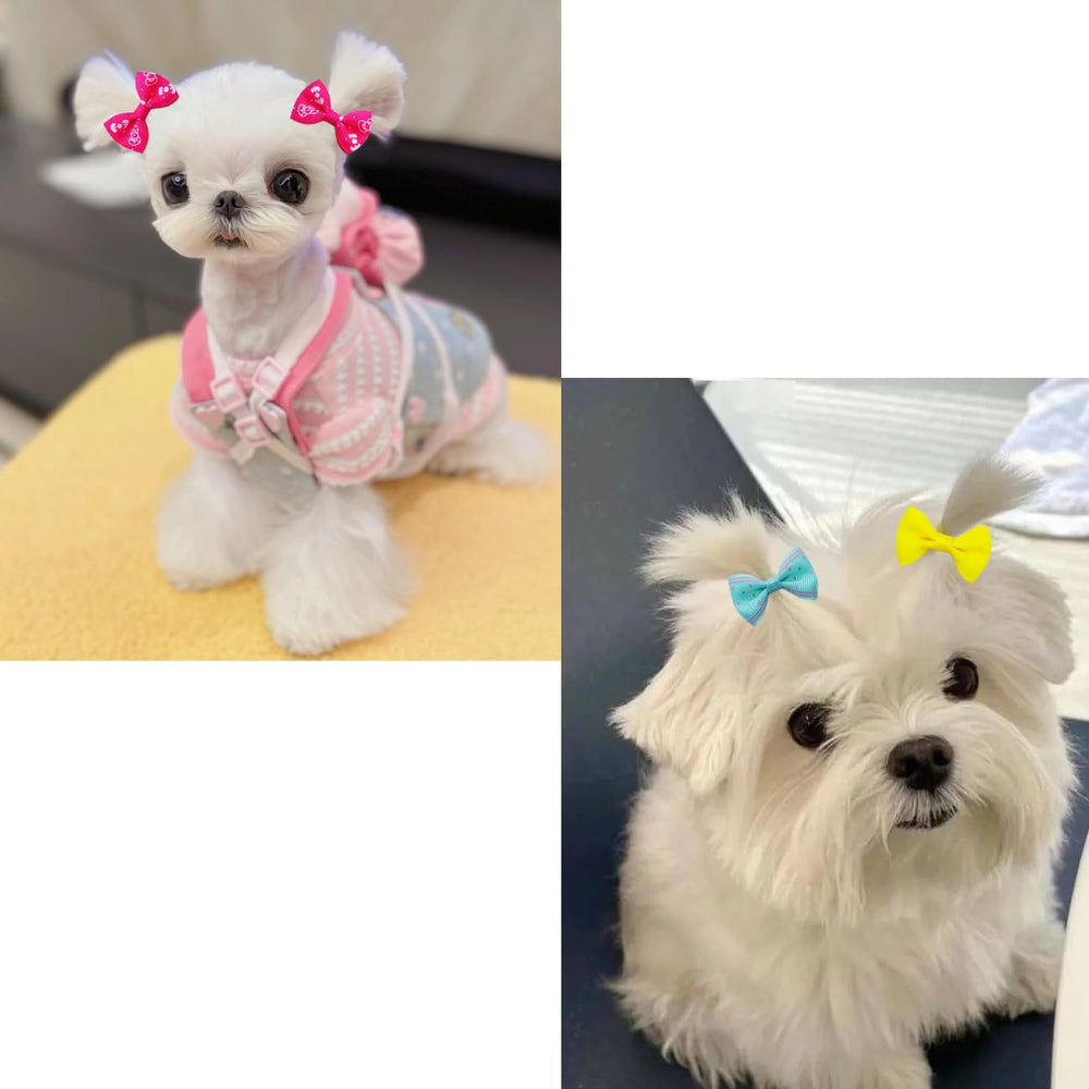 JUCCPUL double fixation keeps styles neat during walks