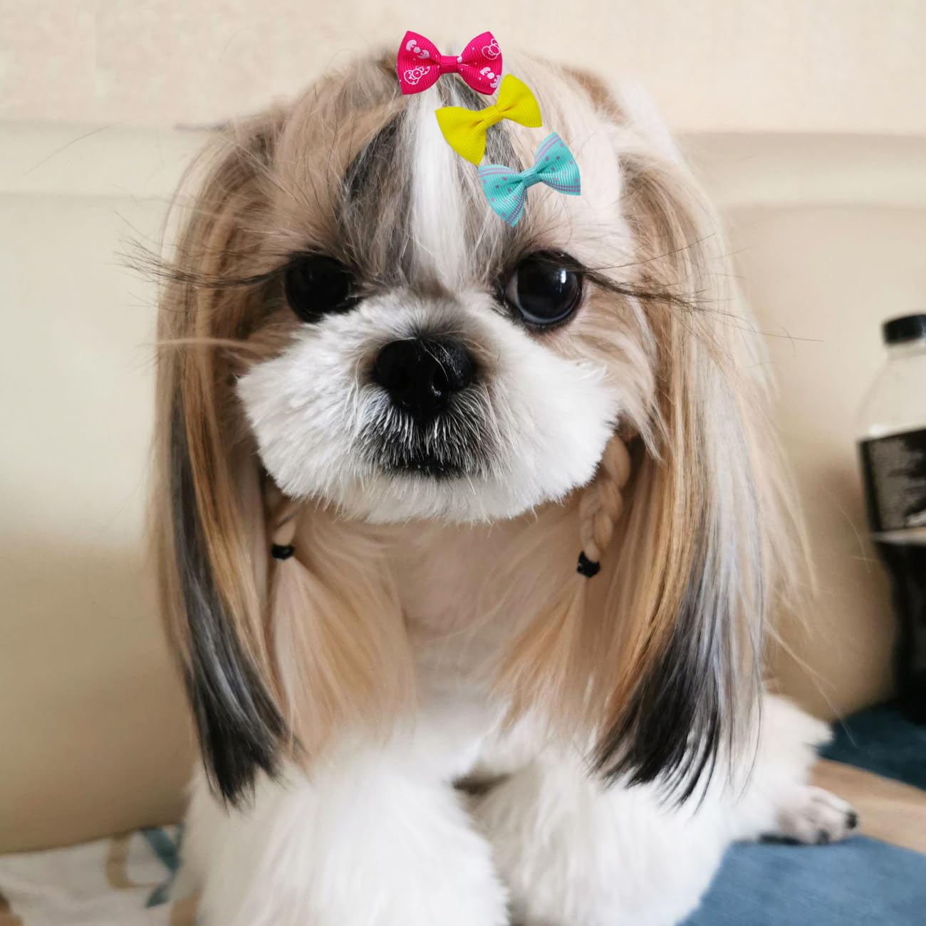 JUCCPUL puppy-dog bows colors and patterns ideal for stylish photos.
