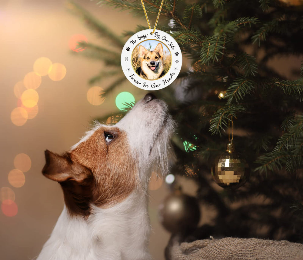 JUESMOS 3x3 inch dog memorial frame ideal for Christmas tree décor.