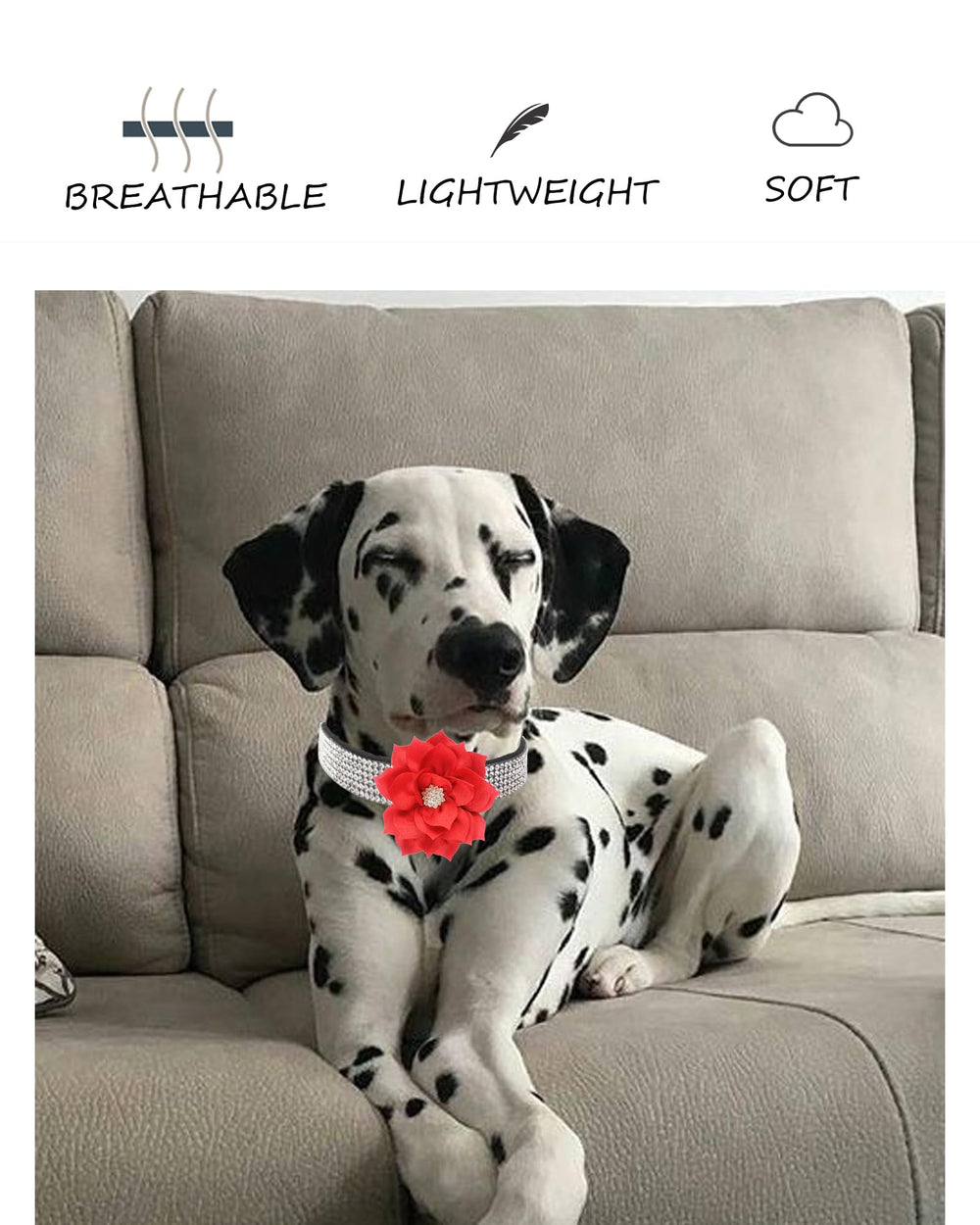 JUFOO Rhinestone Dog Collar adjustable-4-eyelets offers secure, adjustable fit.