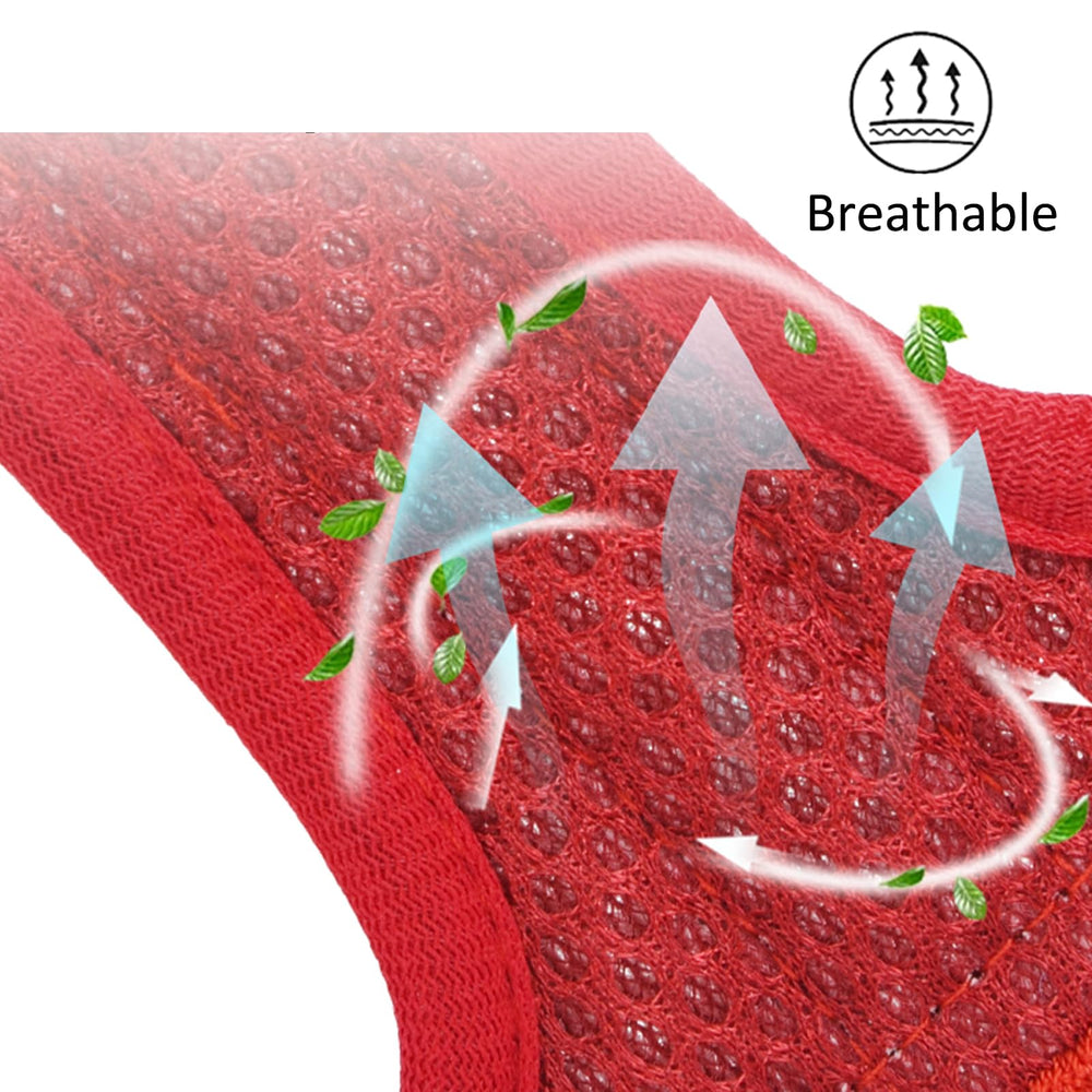 JUFOO small-dog harness on dog demonstrates compact and secure fit