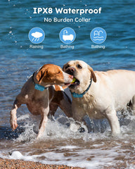 Jugbow four training modes provide gentle reminders and corrections.