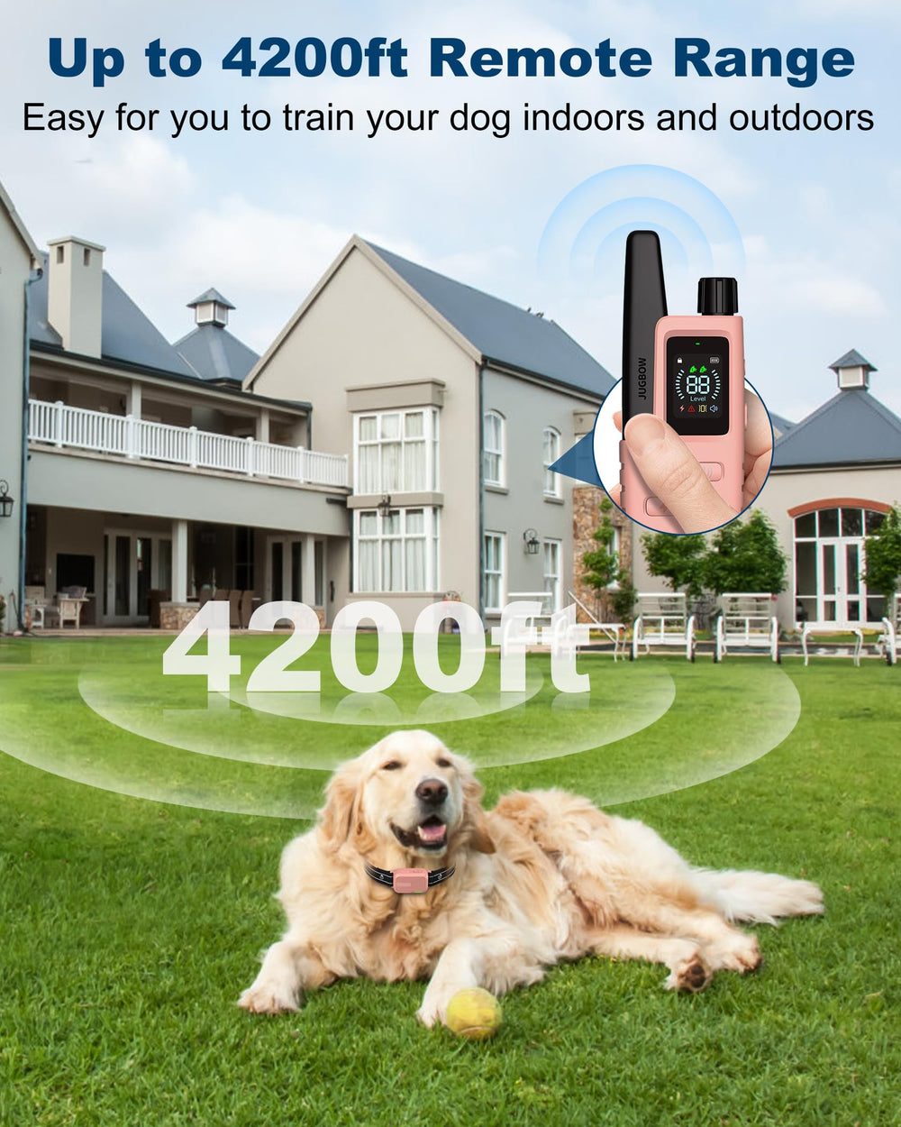 Jugbow four training modes showcase versatile cues for humane guidance.