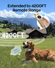 Jugbow dog training collar receiver with IPX8 waterproof durability