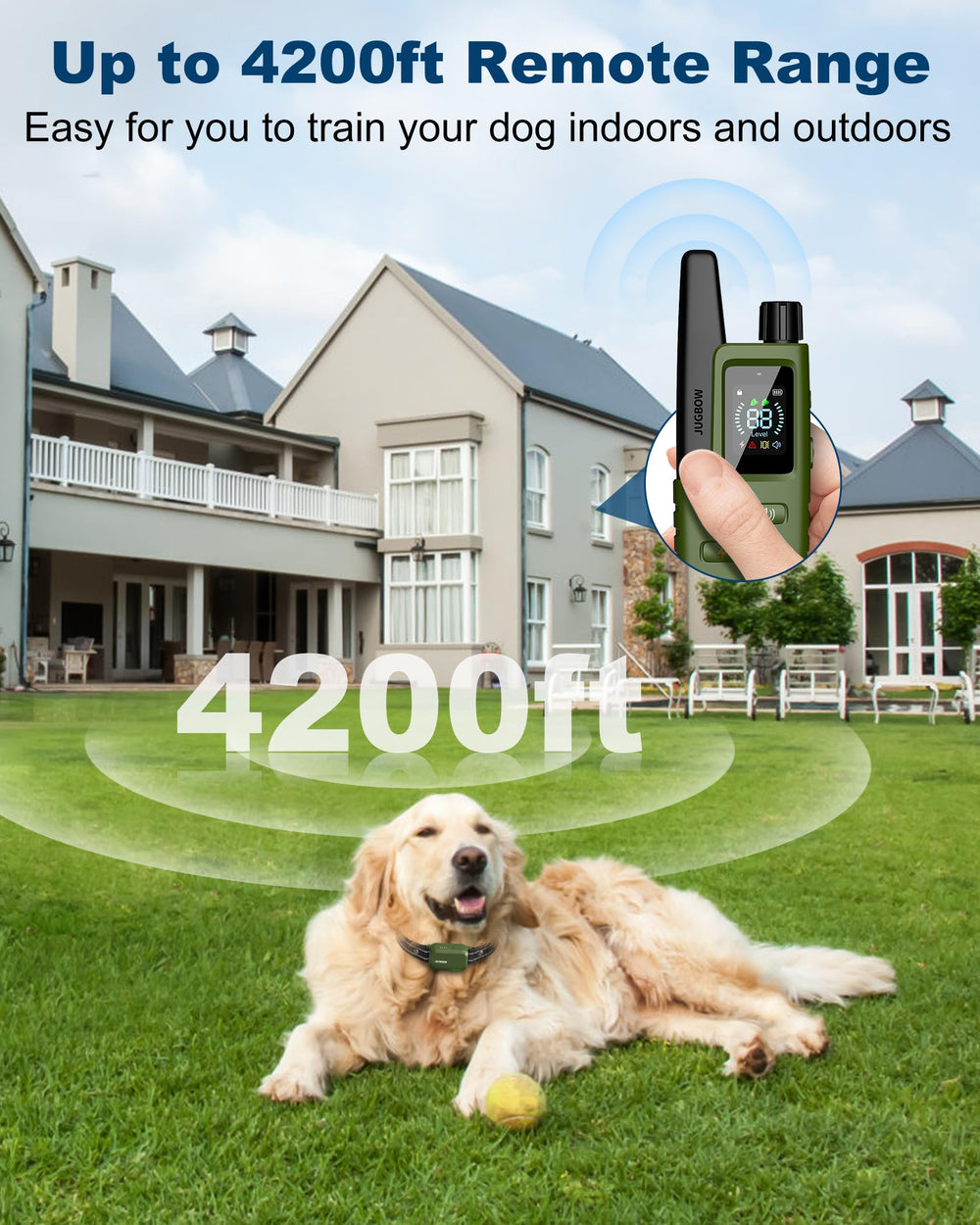 Jugbow dog collar two-dog training setup shows easy multi-dog supervision with one remote.