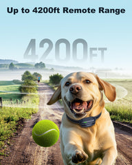 Jugbow dog shock collar 2-channel setup enables simultaneous training for two dogs.