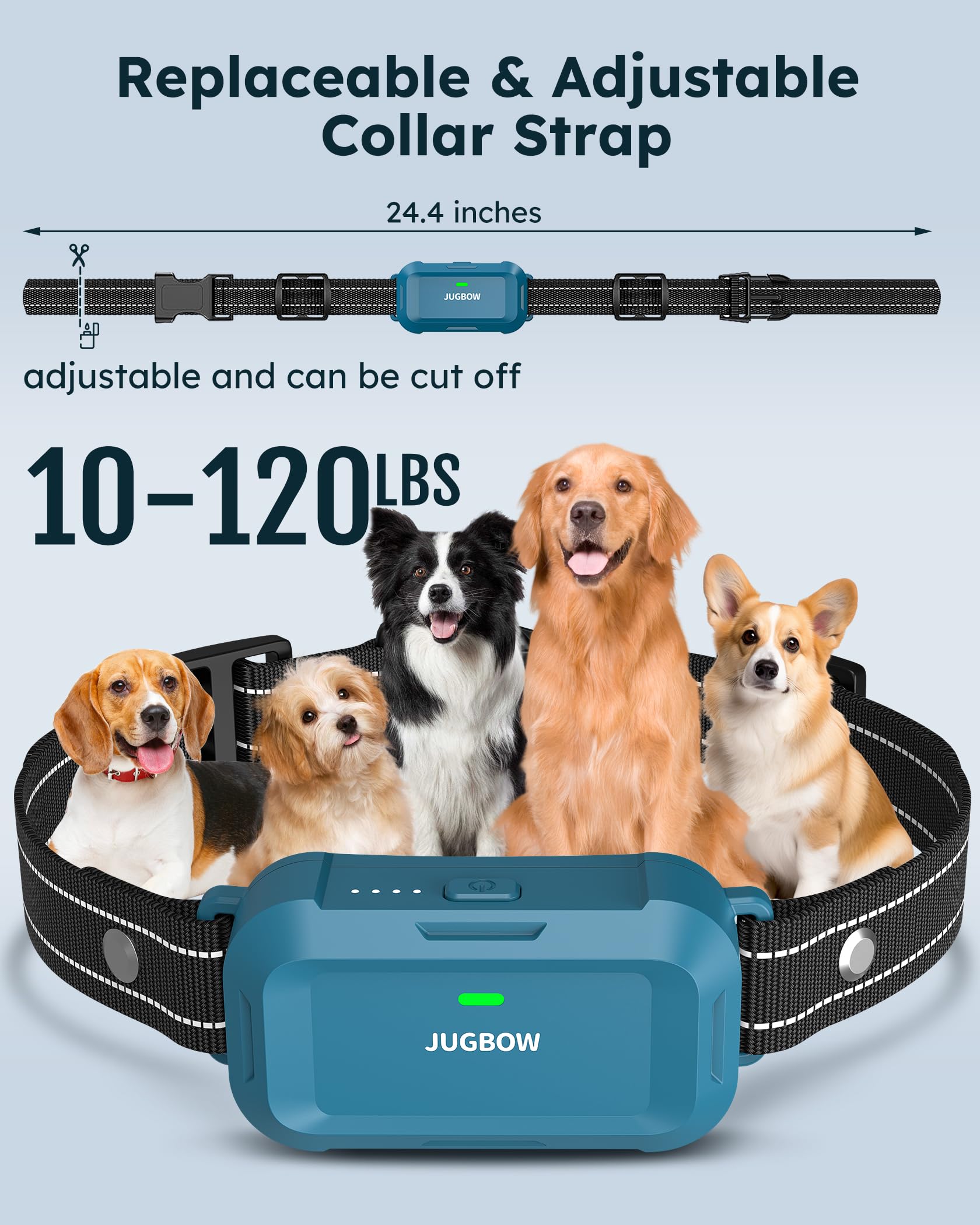 Jugbow 4200ft range enables effective training across parks and yards.