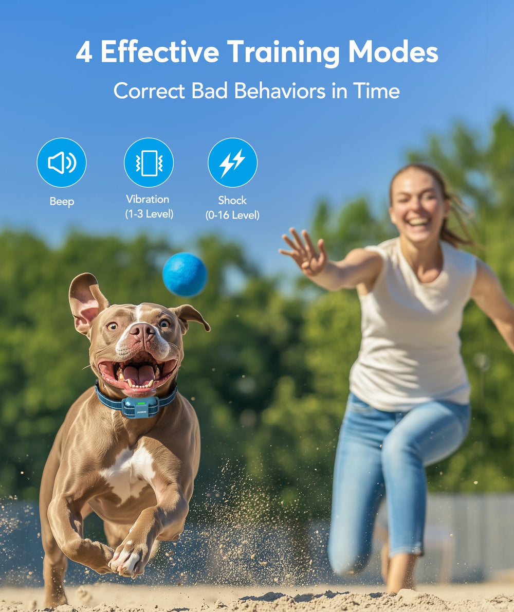 Jugbow dog shock collar receiver worn by a dog for effective recall cues.