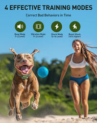 Jugbow dog shock collar security lock prevents accidental changes during adventures.