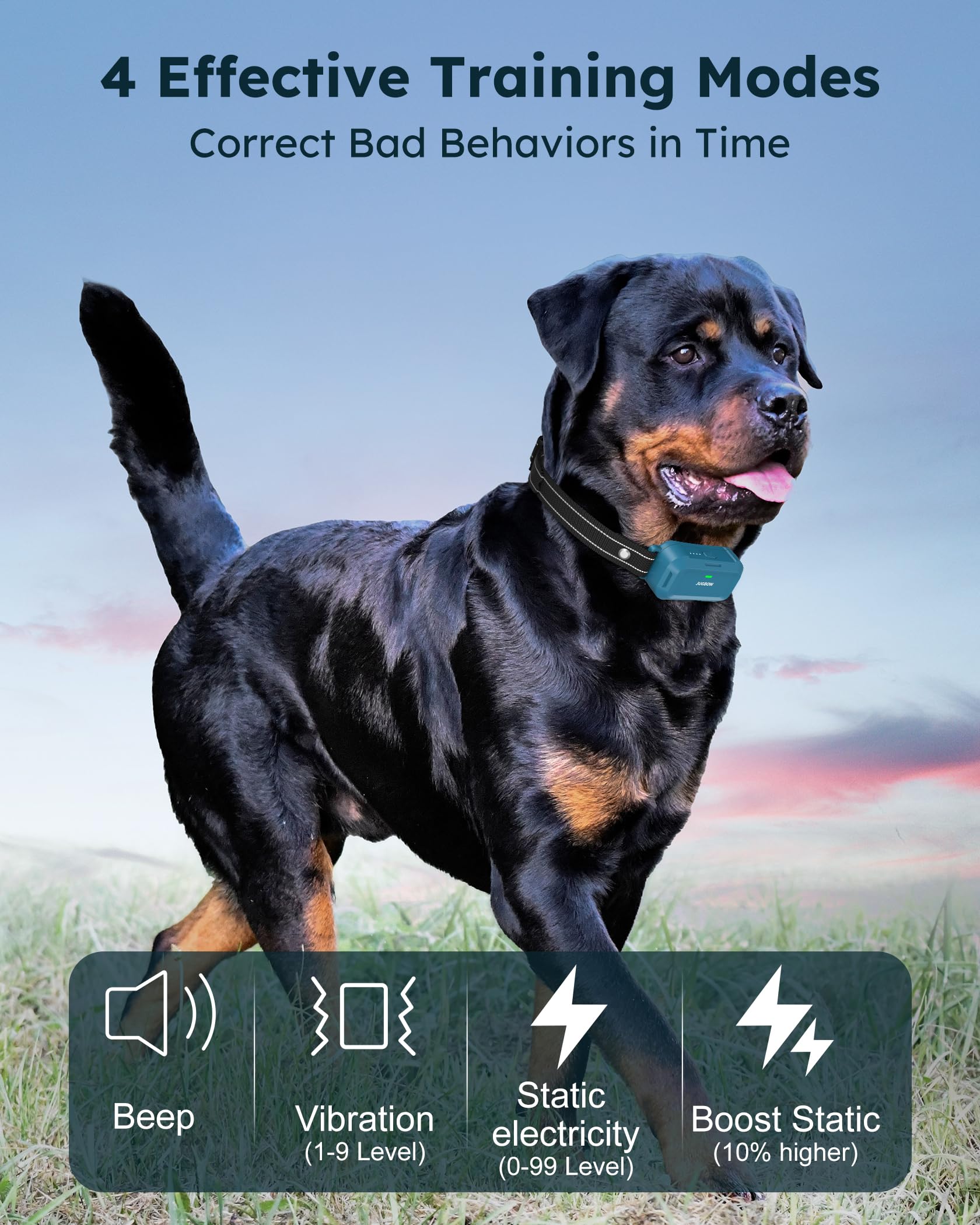 Jugbow two-dog training setup supports parallel sessions with memory.