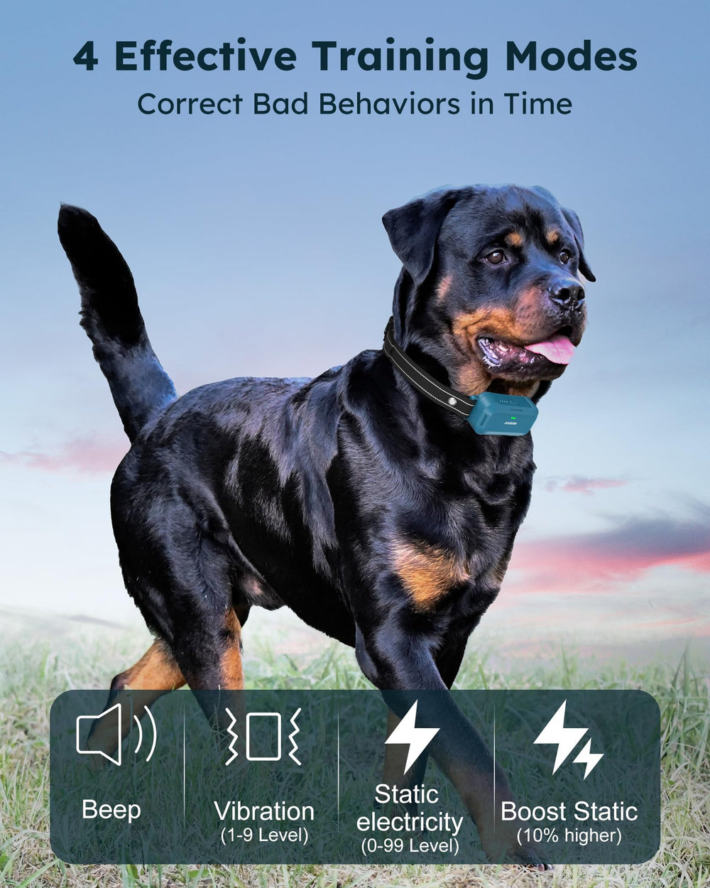 Jugbow two-dog training setup supports parallel sessions with memory.