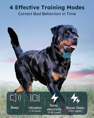 Jugbow two-dog training setup supports parallel sessions with memory.