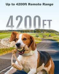 Jugbow dog collar 4200ft range shown for confident long-range off-leash training.